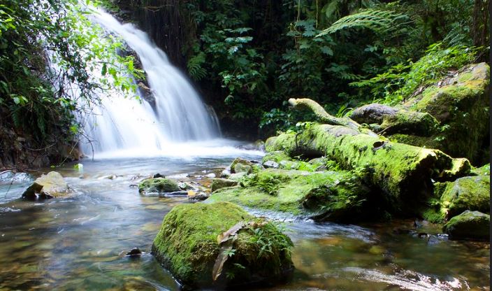 image_river_munyanga_bwindi