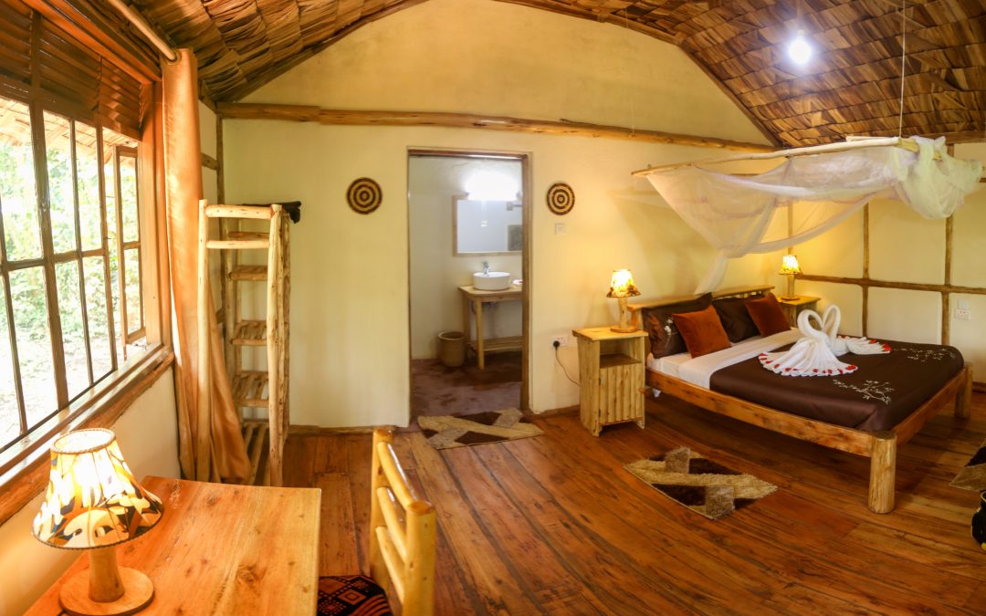 Ecolodge vs Hotel: What’s the Real Difference?