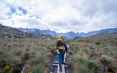 Essential Safety Considerations for Your Next Adventure Tour